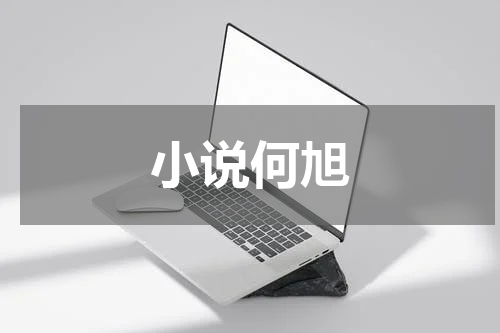 小说何旭