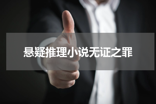 悬疑推理小说无证之罪