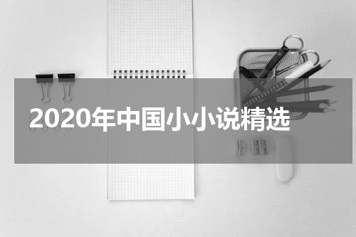 2020年中国小小说精选