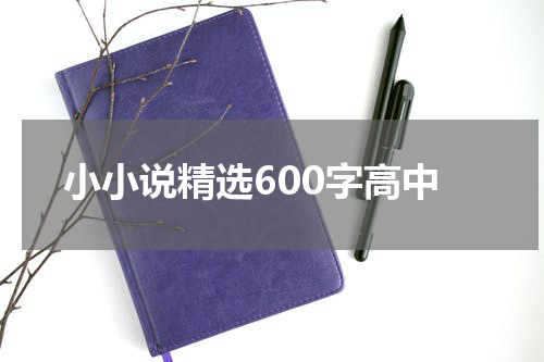 小小说精选600字高中