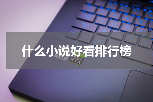 什么小说好看排行榜