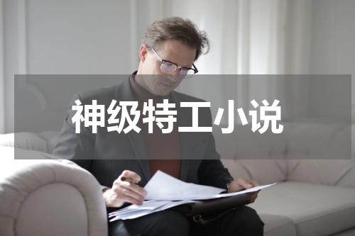 神级特工小说