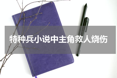 特种兵小说中主角救人烧伤