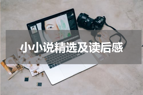 小小说精选及读后感