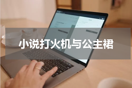 小说打火机与公主裙