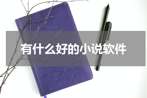 有什么好的小说软件