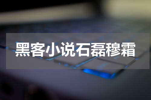 黑客小说石磊穆霜