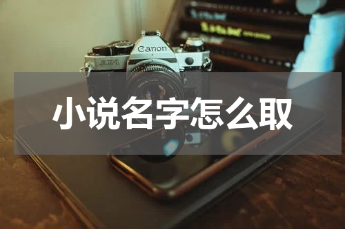 小说名字怎么取