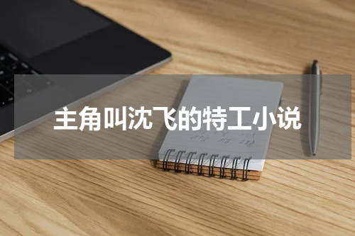 主角叫沈飞的特工小说