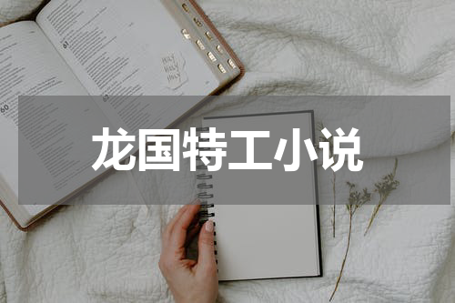 龙国特工小说