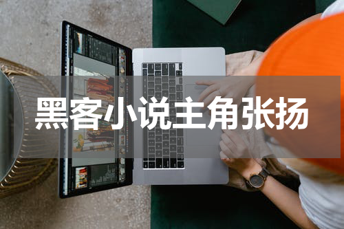 黑客小说主角张扬