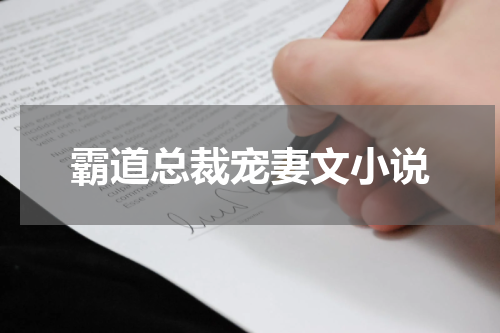 霸道总裁宠妻文小说