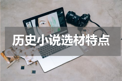 历史小说选材特点