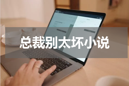 总裁别太坏小说
