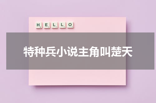 特种兵小说主角叫楚天