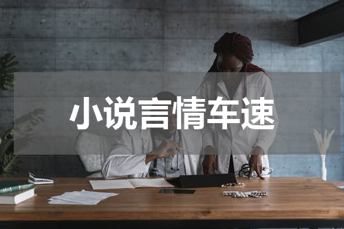 小说言情车速