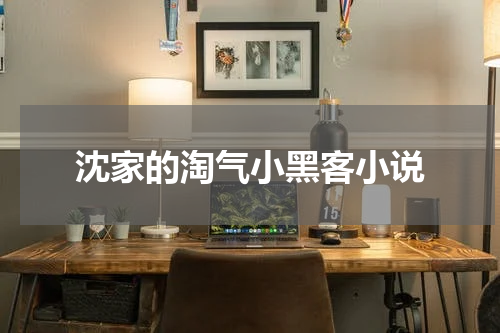 沈家的淘气小黑客小说