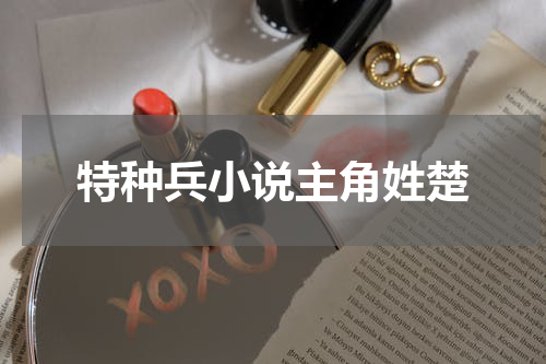 特种兵小说主角姓楚