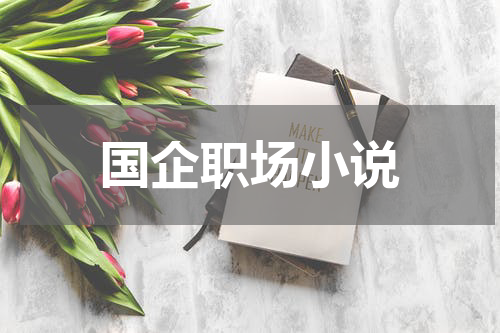 国企职场小说