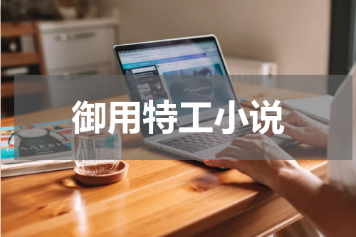 御用特工小说