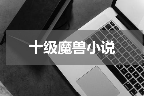 十级魔兽小说