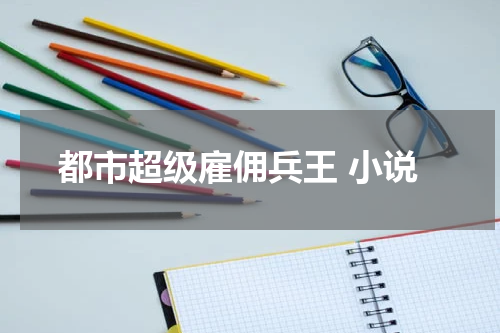 都市超级雇佣兵王 小说