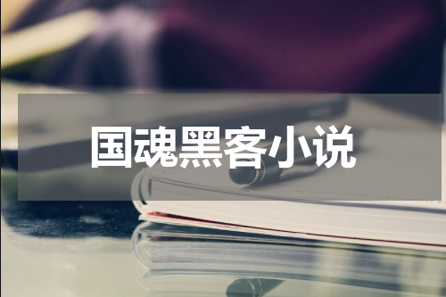 国魂黑客小说