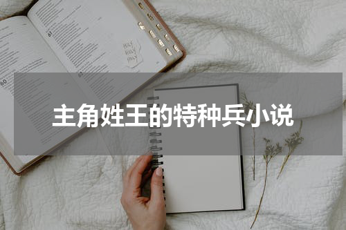 主角姓王的特种兵小说