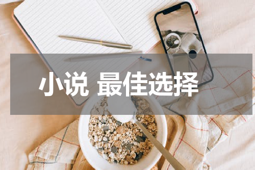 小说 最佳选择