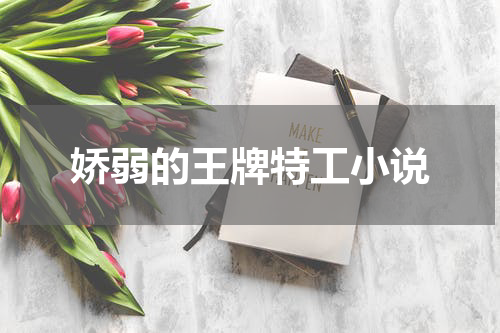 娇弱的王牌特工小说