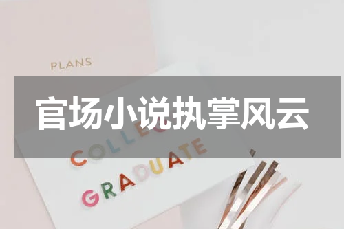 官场小说执掌风云