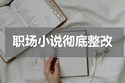 职场小说彻底整改
