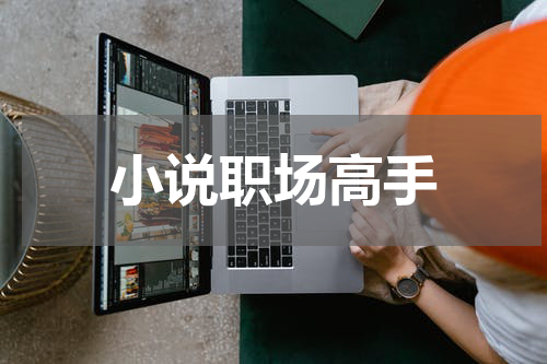 小说职场高手