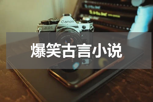 爆笑古言小说
