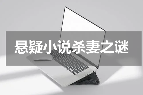 悬疑小说杀妻之谜