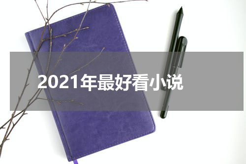 2021年最好看小说