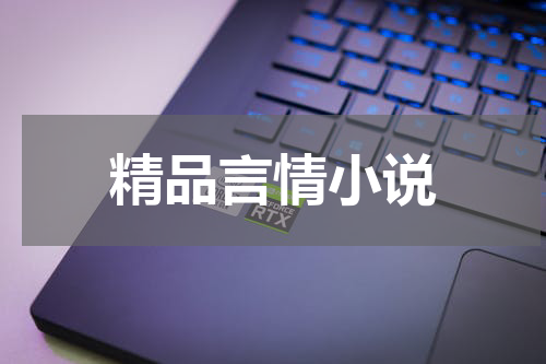 精品言情小说