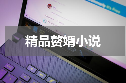 精品赘婿小说