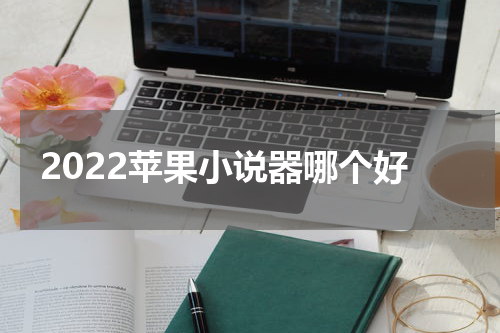 2022苹果小说器哪个好