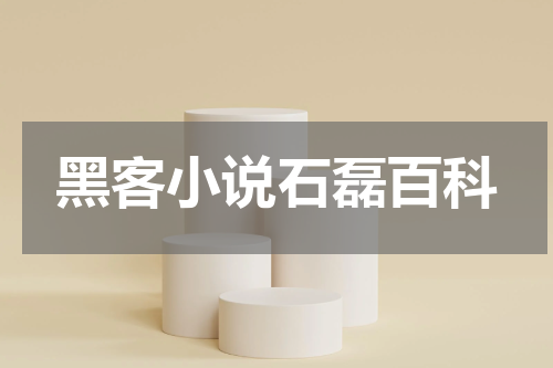 黑客小说石磊百科