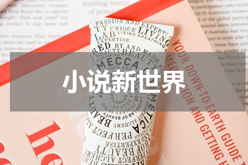 小说新世界