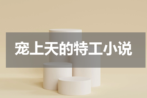宠上天的特工小说