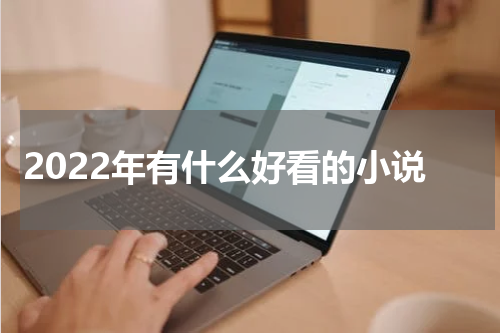 2022年有什么好看的小说