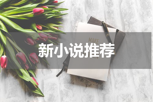 新小说推荐