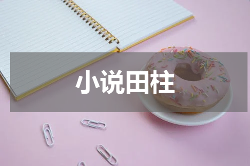 小说田柱