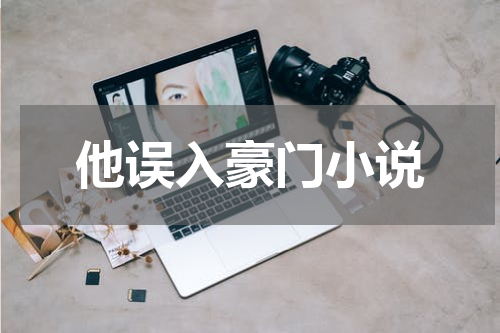 他误入豪门小说