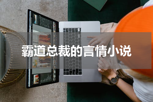 霸道总裁的言情小说