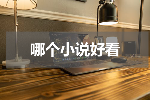 哪个小说好看