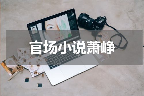 官场小说萧峥