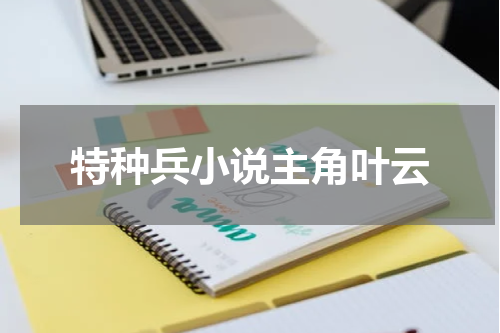 特种兵小说主角叶云